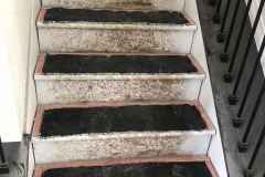 stairwell carpeting