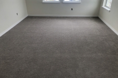 Carpeting and basboard